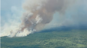 Coping with Wildfire Smoke: Tips for Protecting Your Home, Business, and Health